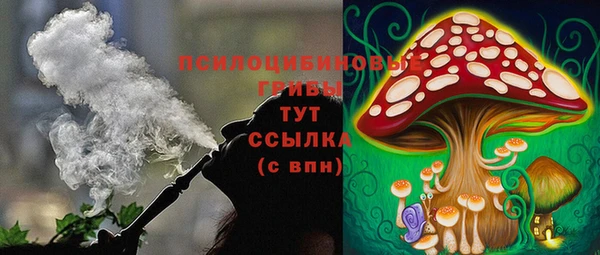 дживик Балахна