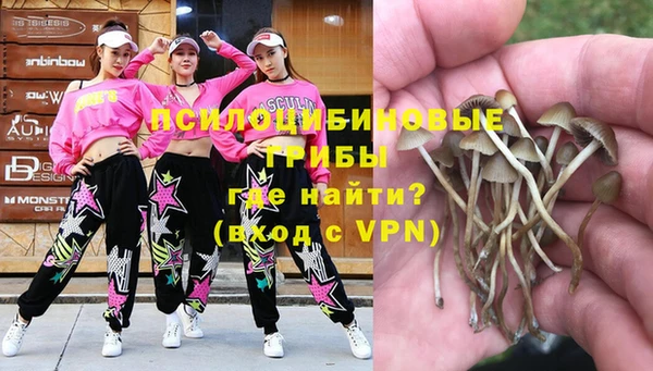 стафф Баксан