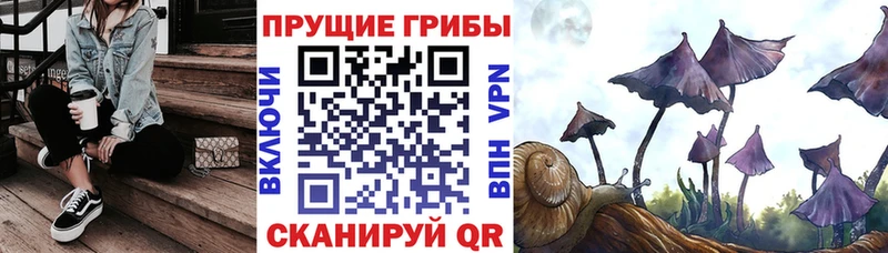 купить   Нерюнгри  Псилоцибиновые грибы Magic Shrooms 